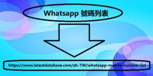 Whatsapp 號碼列表