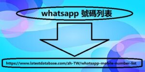 Whatsapp 號碼列表